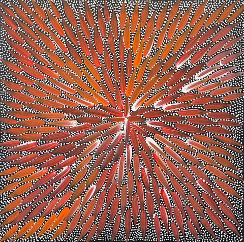 Bernadine Johnston Kemarre  'Bush Medicine Leaves' painting, 30x30cm