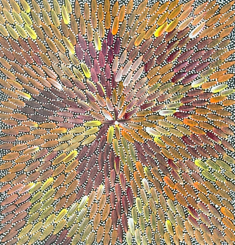 A colorful painting by Bernadine Johnson Kemarre, representing traditional bush medicine plants