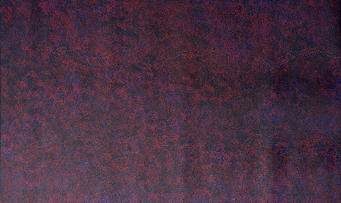 Annie Nelson Napangardi