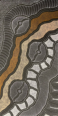 A painting by Delvine Pitjara with intricate patterns in browns and white dots on black.