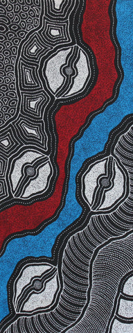 A painting by Delvine Pitjara, featuring intricate white dots and fine linework on a canvas with red and blue elements, representing aspects of Australian Aboriginal art.
