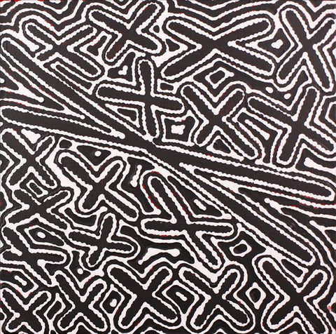 A black and white painting by Kenneth Jungarrayi Martin representing the Budgerigar Dreaming, featuring concentric circles and cross-like shapes on a stretched acrylic on canvas surface.