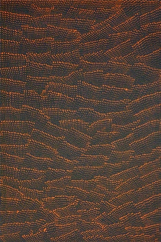 Lily Kelly Napangardi