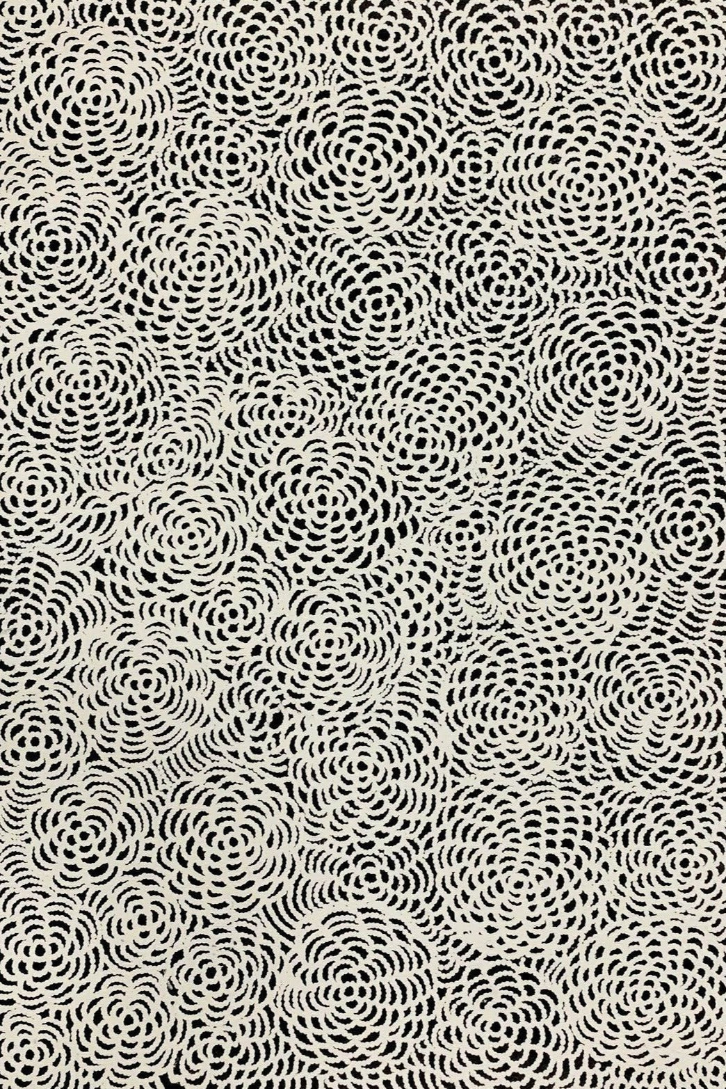 Janet Long Nakamarra