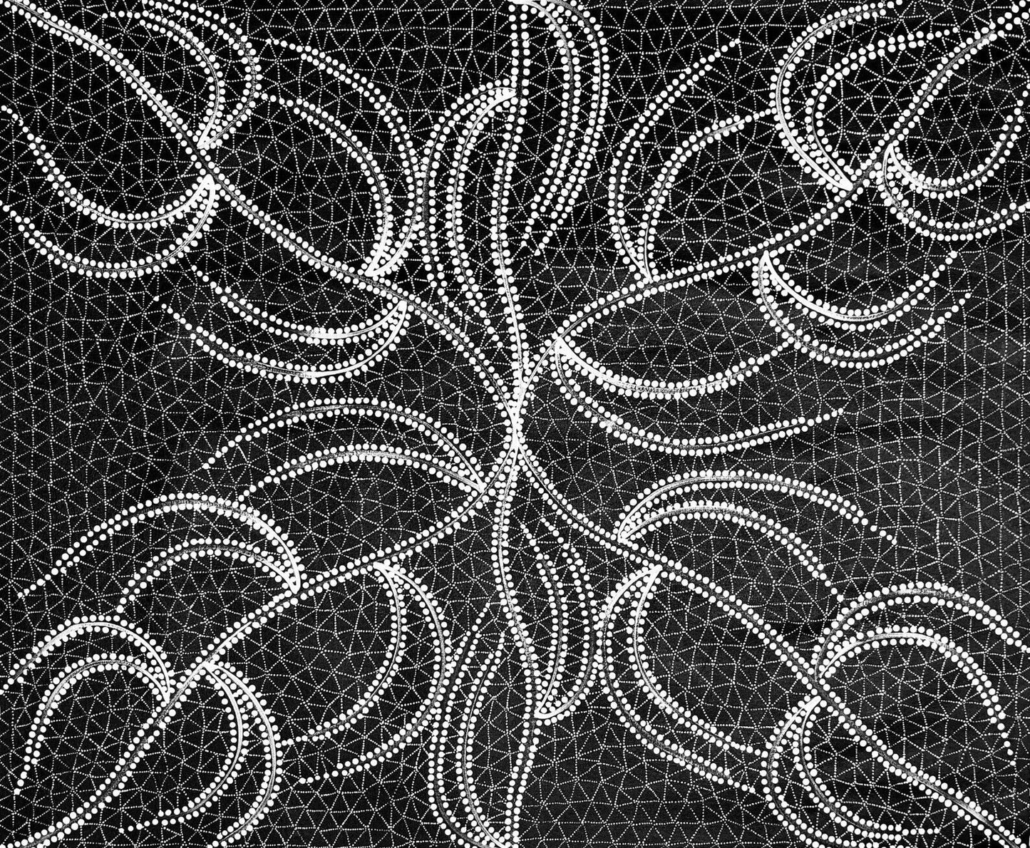 A black and white acrylic painting on canvas by Doreen Dickson Nakamarra depicting her damper seed dreaming.