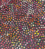 Close-up of a painting by Eileen Bird Kngwarreye.