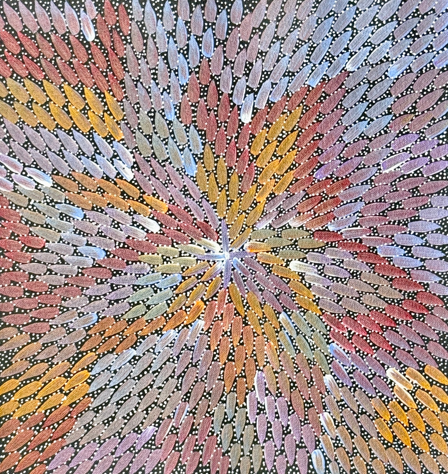 A colorful painting by Bernadine Johnson Kemarre, representing traditional bush medicine plants in light blue, purple, orange and red colours
