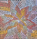 A colorful painting by Bernadine Johnson Kemarre, representing traditional bush medicine plants in light blue, purple, orange and red colours