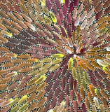 Close-up of a 30x30cm painting by Bernadine Johnson Kemarre, representing traditional bush medicine plants