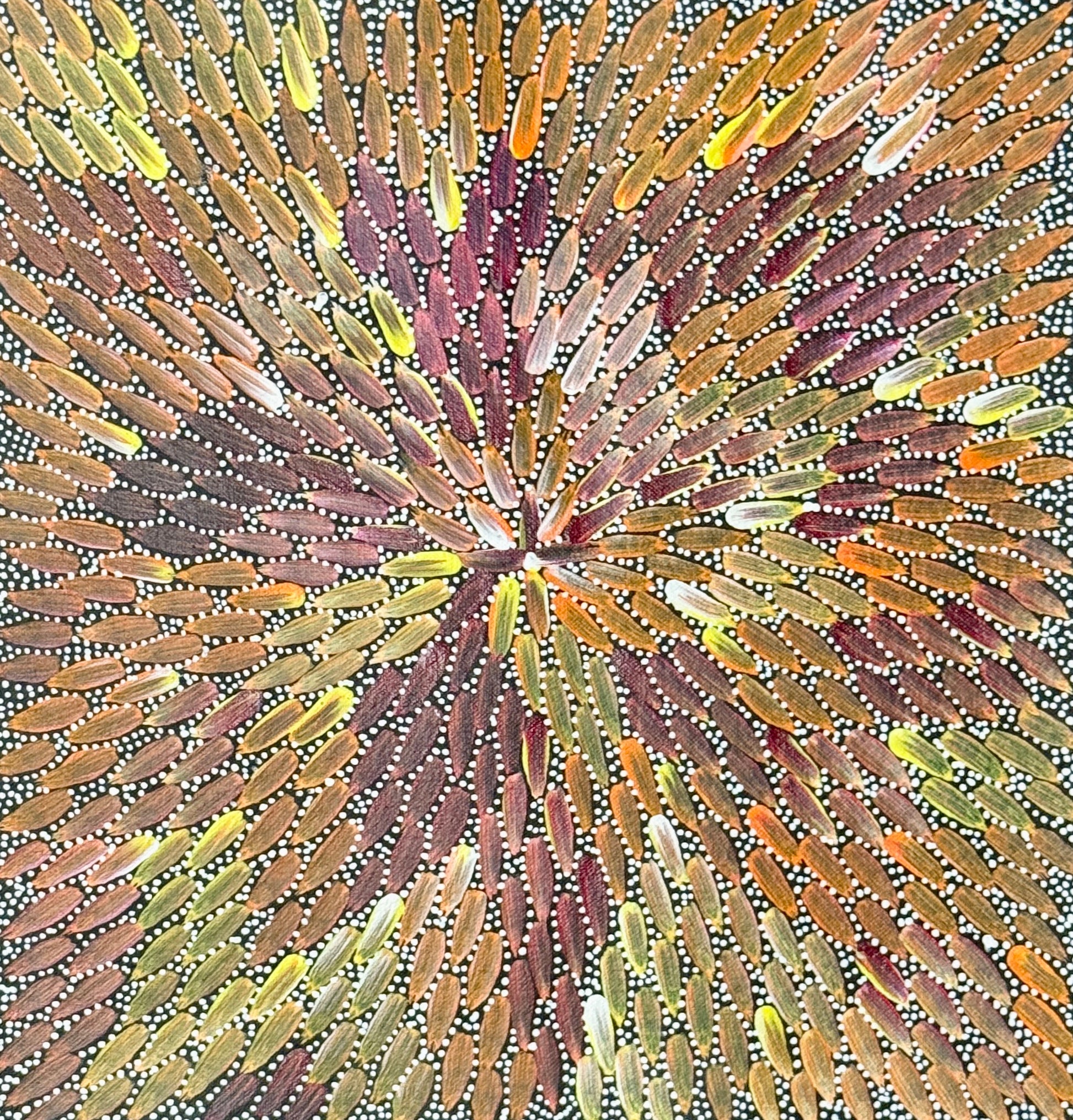 A colorful painting by Bernadine Johnson Kemarre, representing traditional bush medicine plants