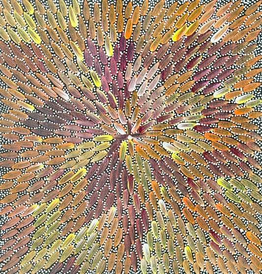 A colorful painting by Bernadine Johnson Kemarre, representing traditional bush medicine plants