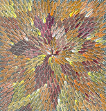 A colorful painting by Bernadine Johnson Kemarre, representing traditional bush medicine plants