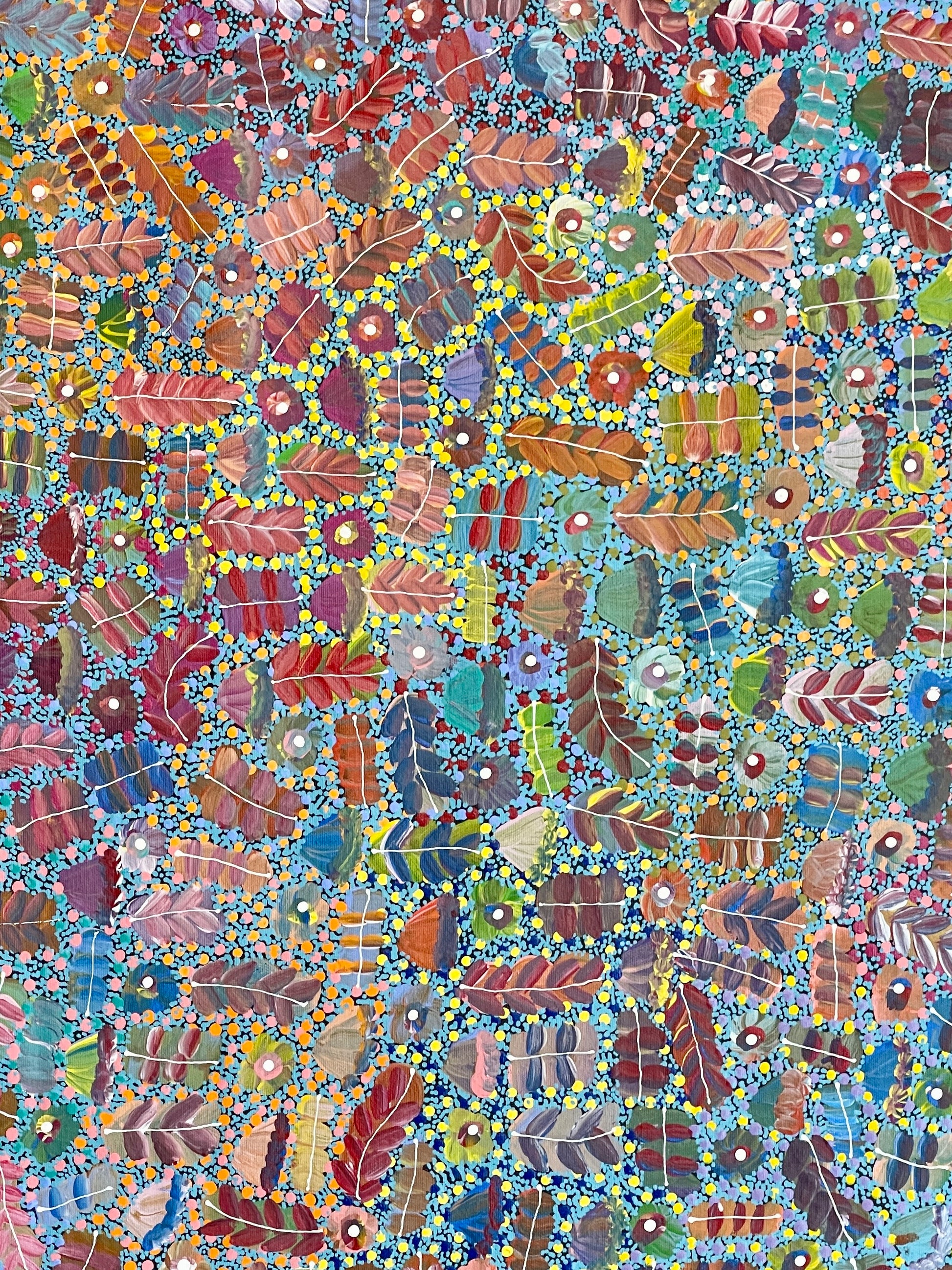 Close-up of a painting by Aboriginal artist Joycie Morton Petyarre representing bush medicine plants found in central Australia.