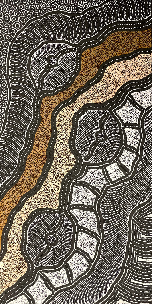 A painting by Delvine Pitjara with intricate patterns in browns and white dots on black.