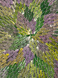 Close-up of a 30x30cm painting Bernadine Johnson Kemarre, representing traditional bush medicine plants.