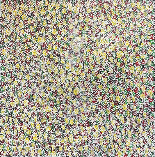 Janice Morton Kngwarreye