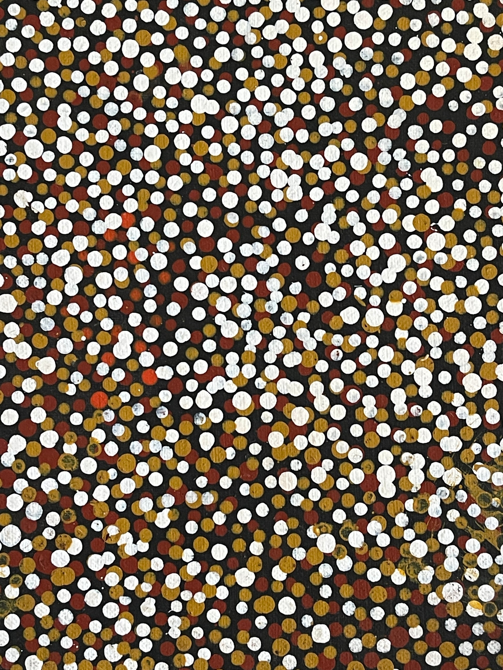 Close-up of a painting by Polly Ngale with small, round, multicolored dots representing the Bush Plum