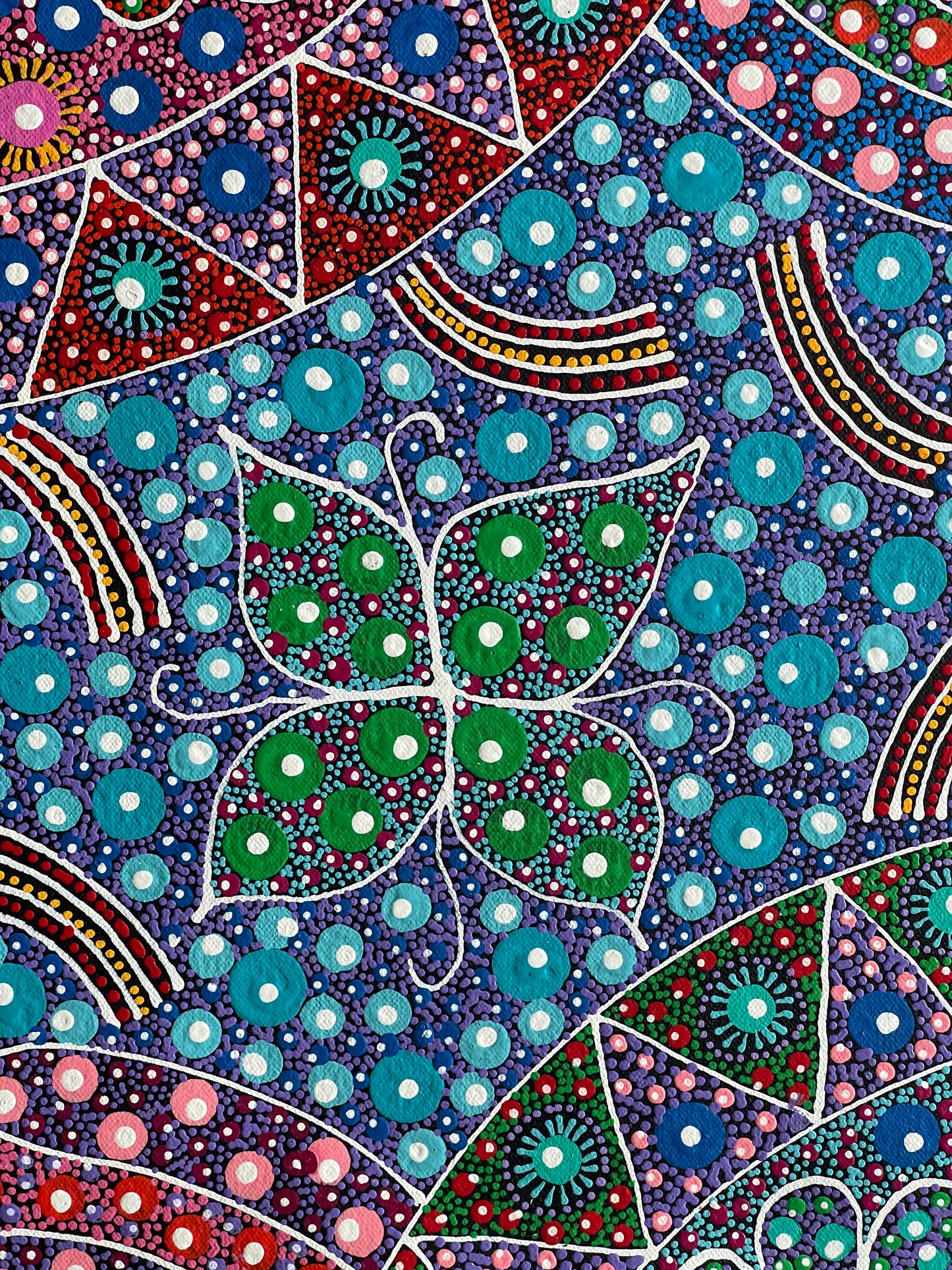Anna Tilmouth Napangardi 'Atnyerlenge (Native Fuchsia)' painting 48x26cm