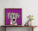 Senita Granites Napangardi