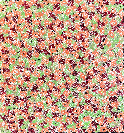 A colourful painting by Aboriginal artist Felicity Robertson Nampijinpa.