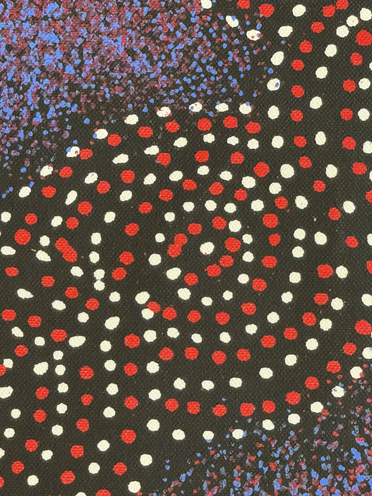 An extreme close-up of a painting by Gracie Morton Pwerle, that represents the Bush Plum Dreaming.