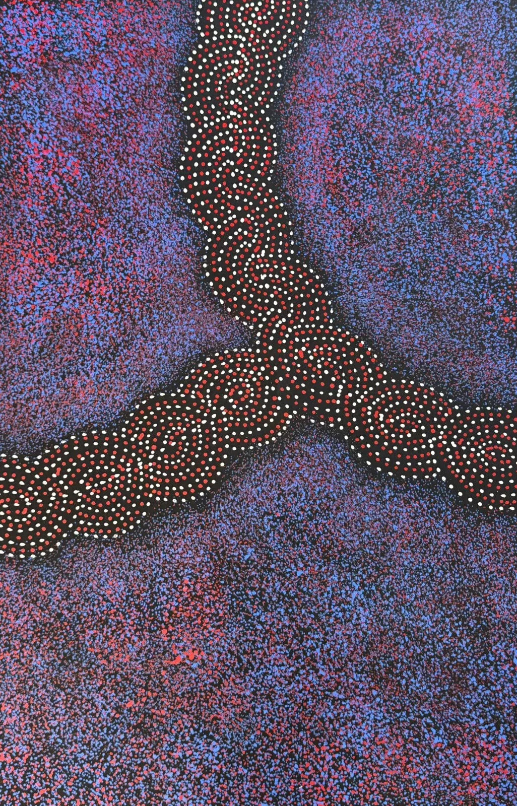 A painting by Gracie Morton Pwerle, that represents the Bush Plum Dreaming.