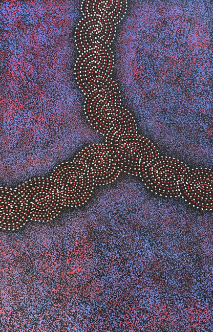 A painting by Gracie Morton Pwerle, that represents the Bush Plum Dreaming.
