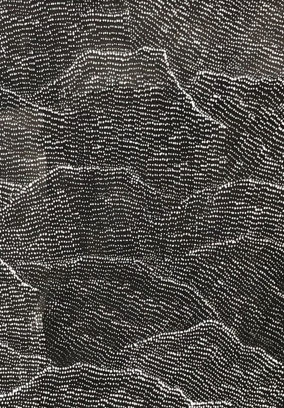 Close-up of a painting by Lily Kelly Napangardi, featuring intricate white dots on a black canvas, representing the desert sandhills or tali.
