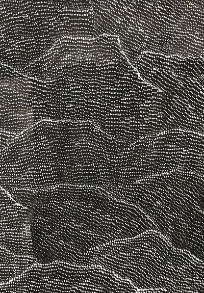 Close-up of a painting by Lily Kelly Napangardi, featuring intricate white dots on a black canvas, representing the desert sandhills or tali.