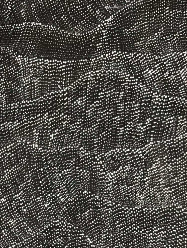 Close-up of a painting by Lily Kelly Napangardi, featuring intricate white dots on a black canvas, representing the desert sandhills or tali.