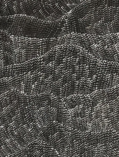 Close-up of a painting by Lily Kelly Napangardi, featuring intricate white dots on a black canvas, representing the desert sandhills or tali.