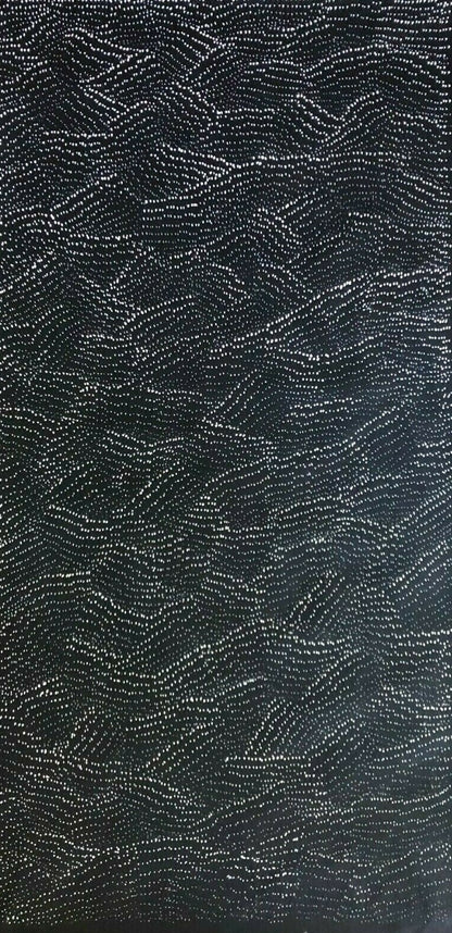 A painting by Lily Kelly Napangardi, featuring intricate white dots on a black canvas, representing the desert sandhills or tali.