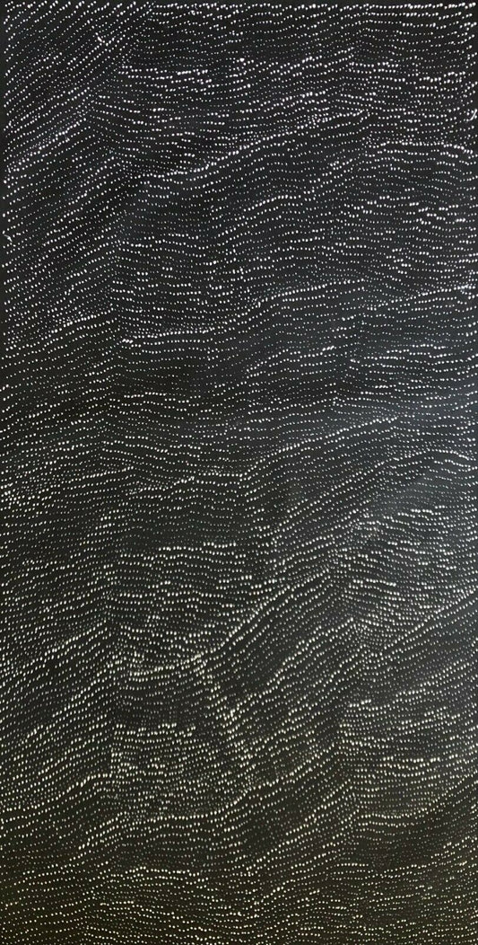 A painting by Lily Kelly Napangardi, featuring intricate white dots on a black canvas, representing the desert sandhills or tali.