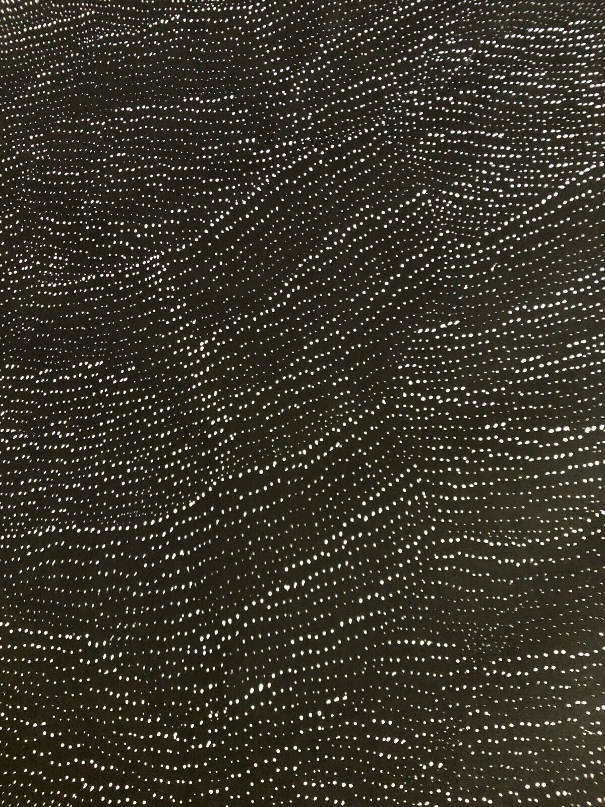 A close=up of apainting by Lily Kelly Napangardi, featuring intricate white dots on a black canvas, representing the desert sandhills or tali.