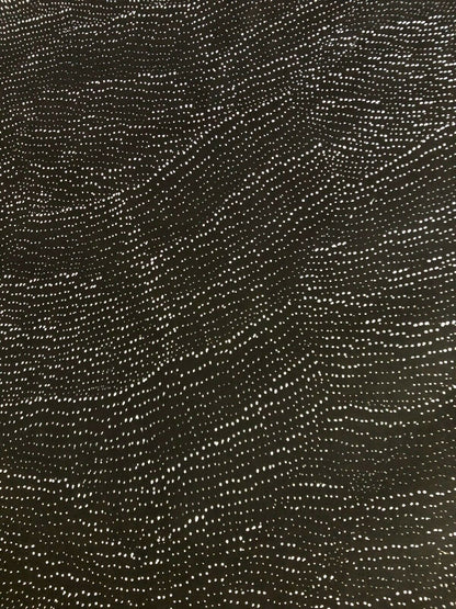 A close=up of apainting by Lily Kelly Napangardi, featuring intricate white dots on a black canvas, representing the desert sandhills or tali.