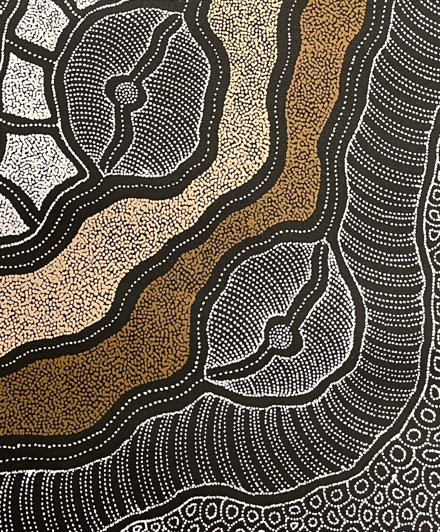 Close-up of a painting by Delvine Pitjara with two organic brown dotted lines surrounded by white dotted shapes on a black background.