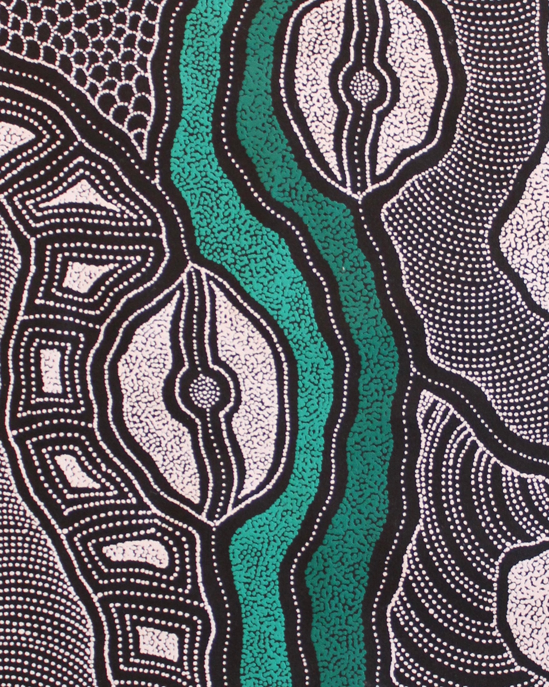 Close-up view of a painting by Delvine Pitjara with two green dotted lines with black and white shapes surrounding 