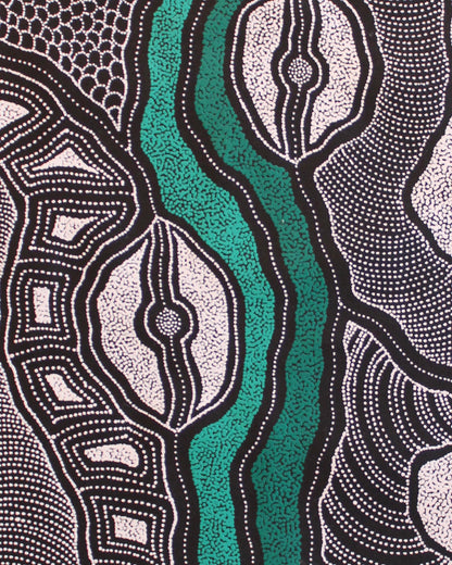 Close-up view of a painting by Delvine Pitjara with two green dotted lines with black and white shapes surrounding 