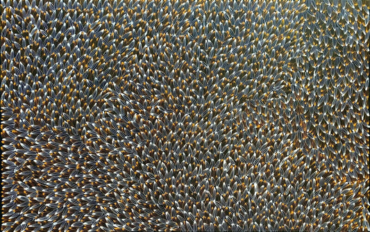 Abie Loy Kemarre 'Bush Medicine Leaf' painting Orange, Black and White 95x150cm