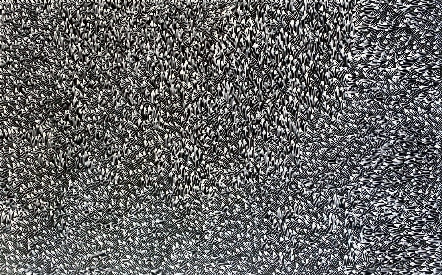 Abie Loy Kemarre Bush Medicine Leaf painting Black and White 90x150cm