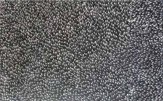 Abie Loy Kemarre Bush Medicine Leaf painting Black and White 90x150cm