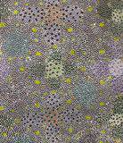 Lily Lion Kngwarreye