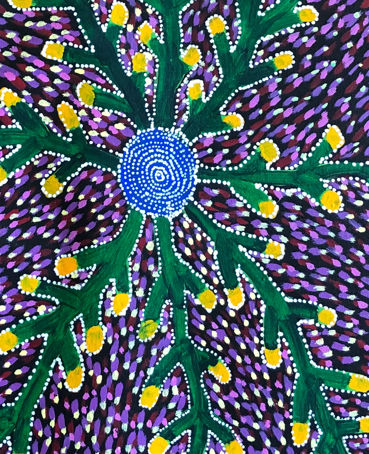 Sarah Morton Kngwarreye