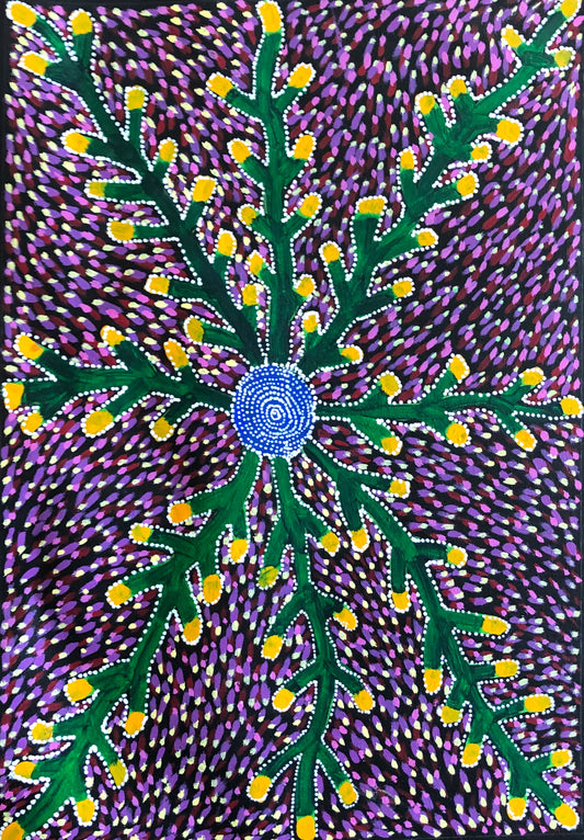 Sarah Morton Kngwarreye
