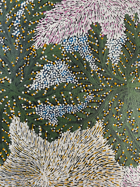 Janice Morton Kngwarreye