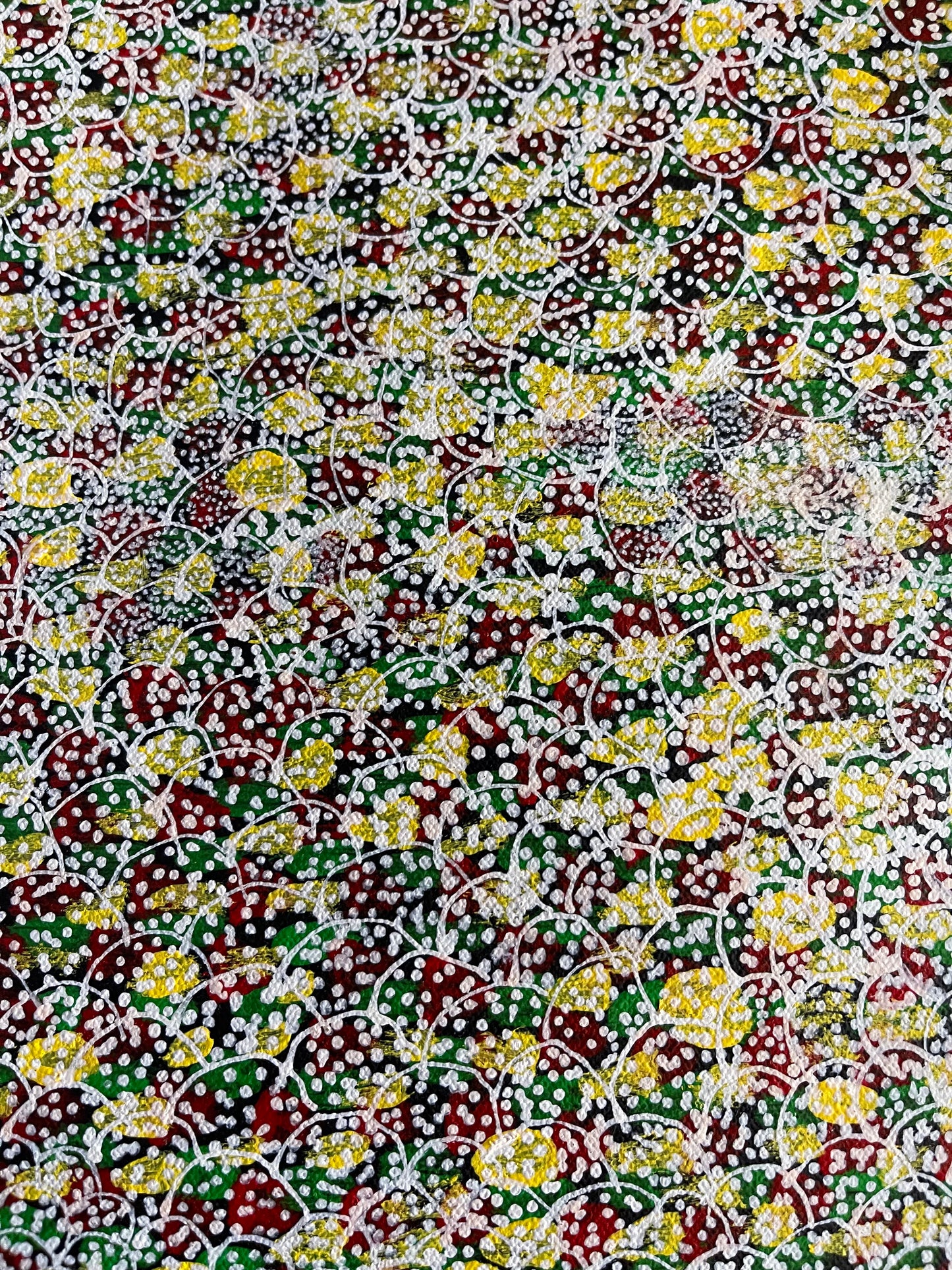 Janice Morton Kngwarreye