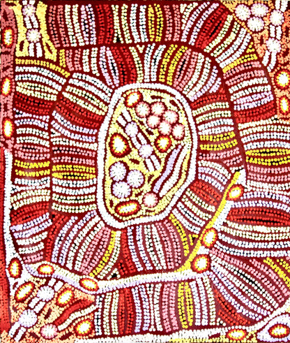 Esther Bruno Nangala 'Marrapinti - Bush Raisin' painting 60x60cm