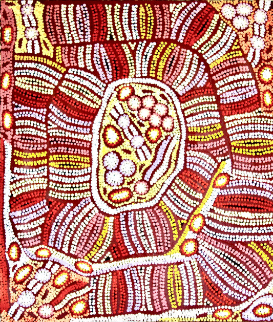 Esther Bruno Nangala 'Marrapinti - Bush Raisin' painting 60x60cm