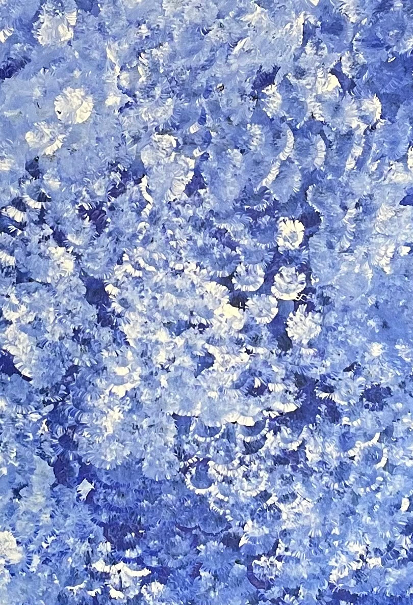 Bessie Pitjara 'Anwekety (Bush Plum)' painting, 90x65cm