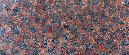 Eileen Bird Kngwarreye 'Arlatyeye (Pencil Yam) Dreaming' painting 80x183cm Multi
